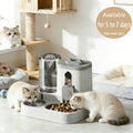 2-in-1 Gravity Cat Food and Water Dispenser Set