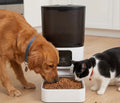 6L Smart WiFi Automatic Pet Feeder with Stainless Steel Bowl