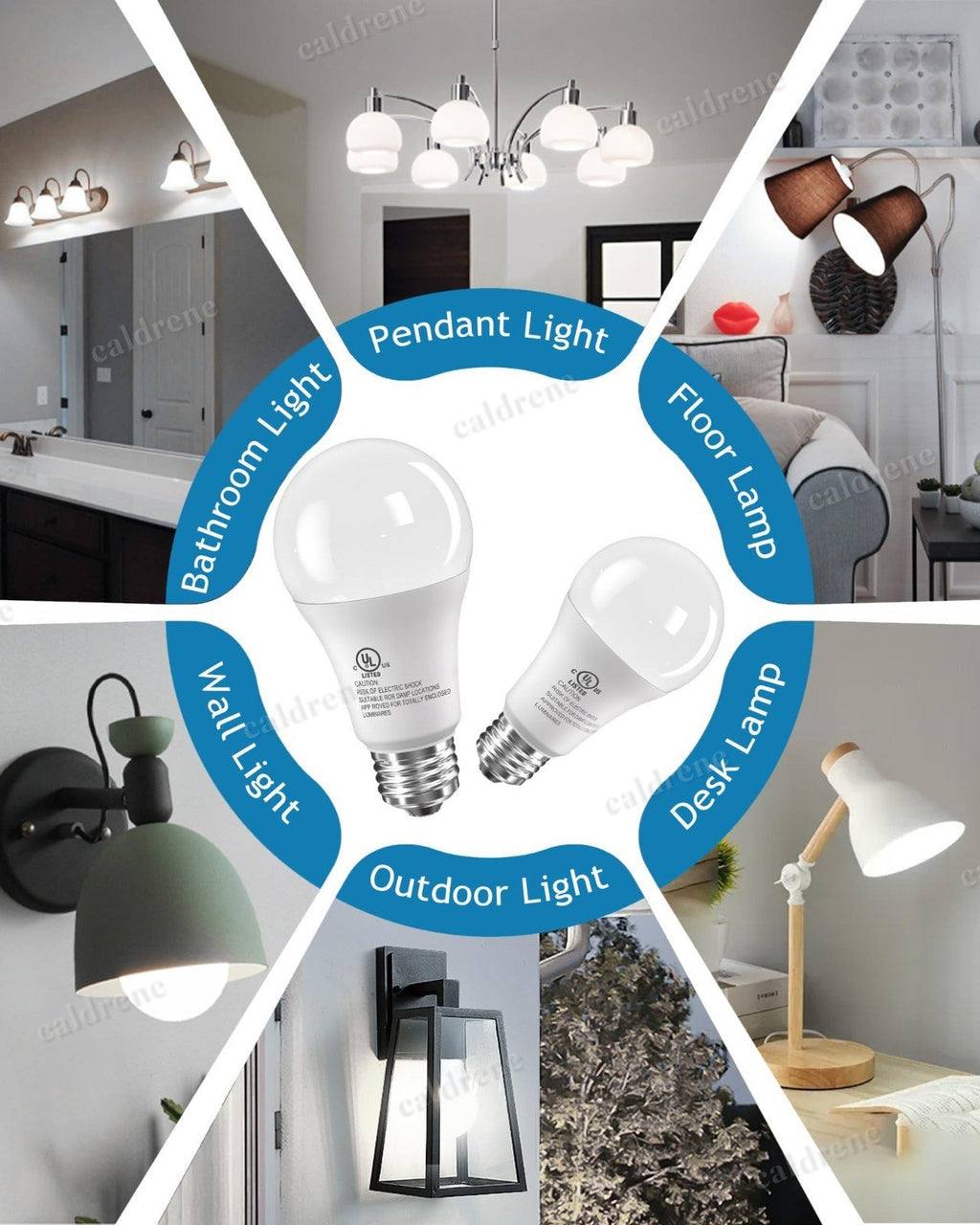 A19 LED Light Bulbs 100W Equivalent Daylight 5000K, 24 Pack – view 6