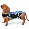 Adjustable Dog Back Support Vest
