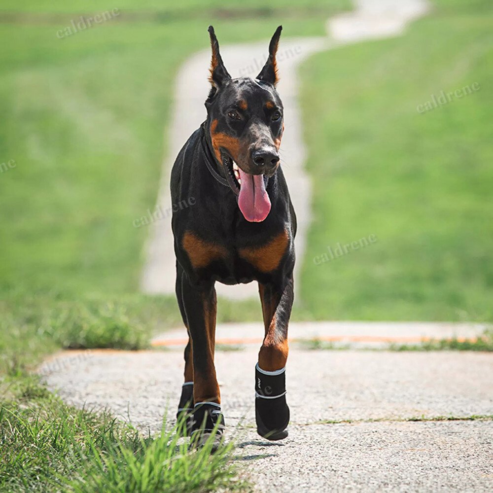 Anti Slip Dog Boots Paw Protectors with Reflective Strip, 4 Pack – view 4