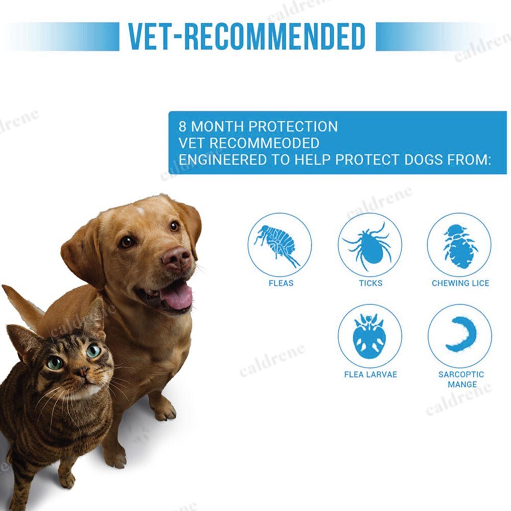 Antiparasitic Pet Collar for Flea and Tick Protection – view 5