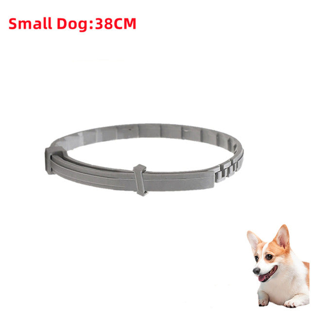 Antiparasitic Pet Collar for Flea and Tick Protection – 1x Small Dog 38cm Gray