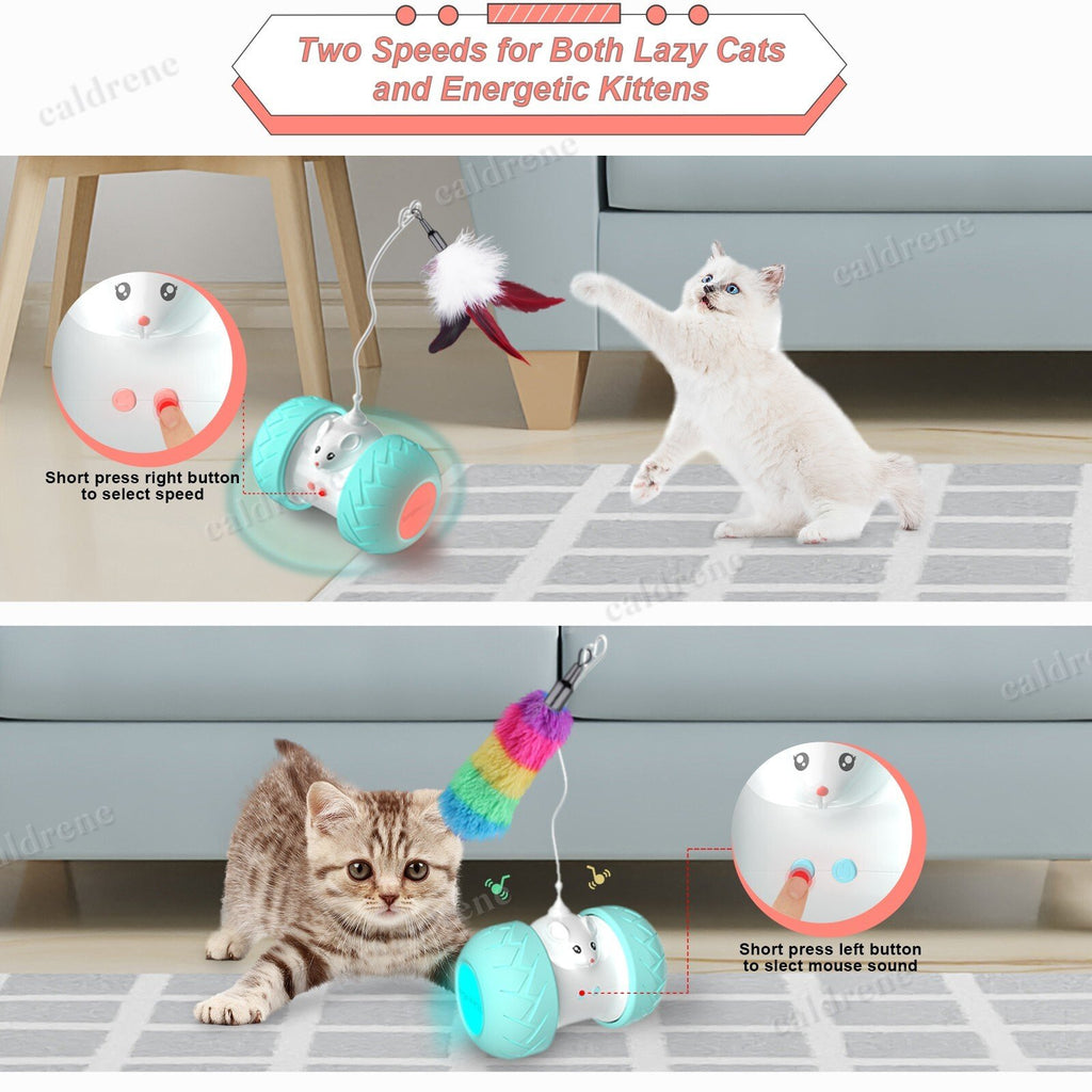 Automatic Interactive Cat Toy – view 4