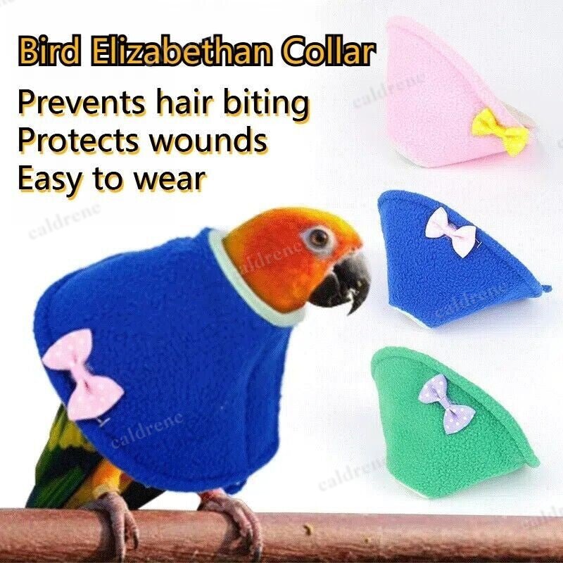 Bird Plush Collar for Parrots - Comfort and Protection – view 6