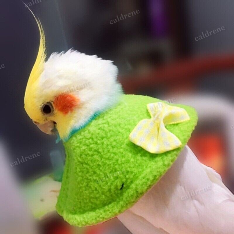 Bird Plush Collar for Parrots - Comfort and Protection – view 8