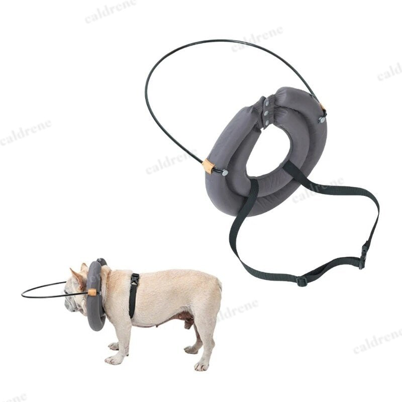 Blind Dog Bumper Guide Harness Halo – view 10