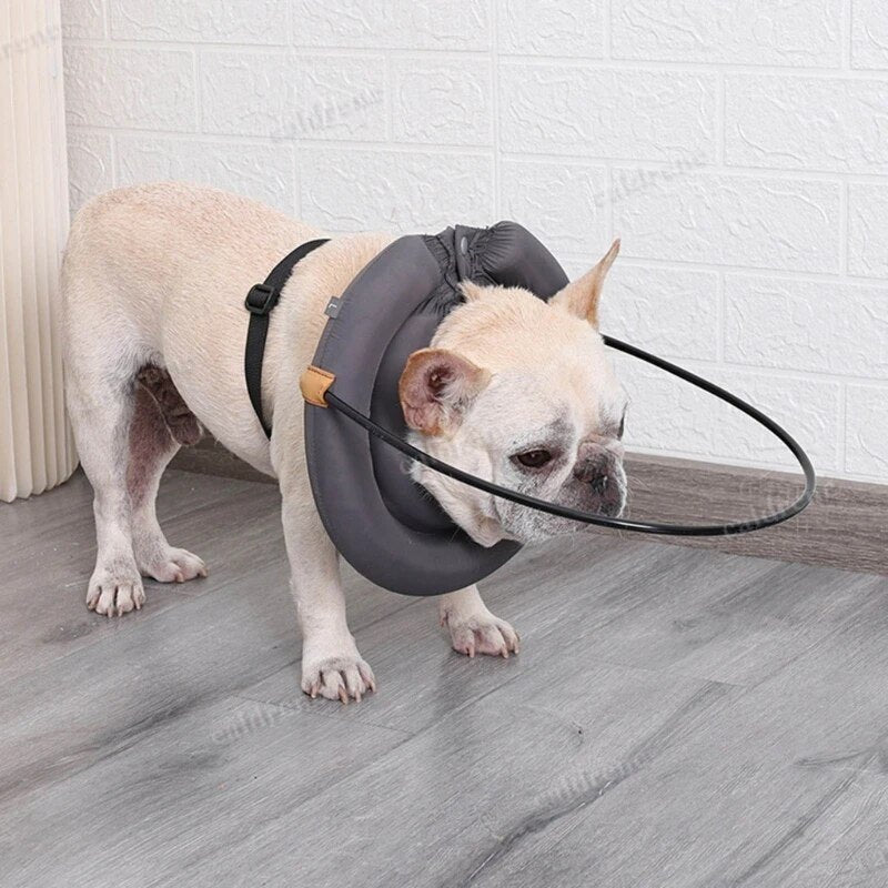 Blind Dog Bumper Guide Harness Halo – view 3
