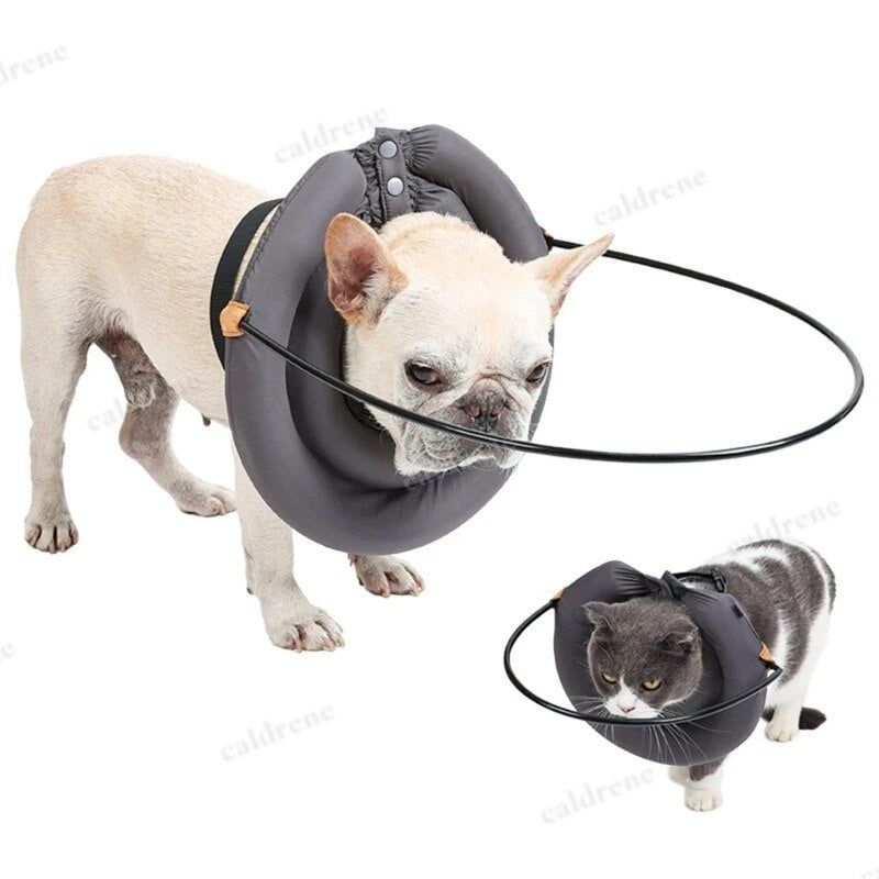 Blind Dog Bumper Guide Harness Halo – view 4