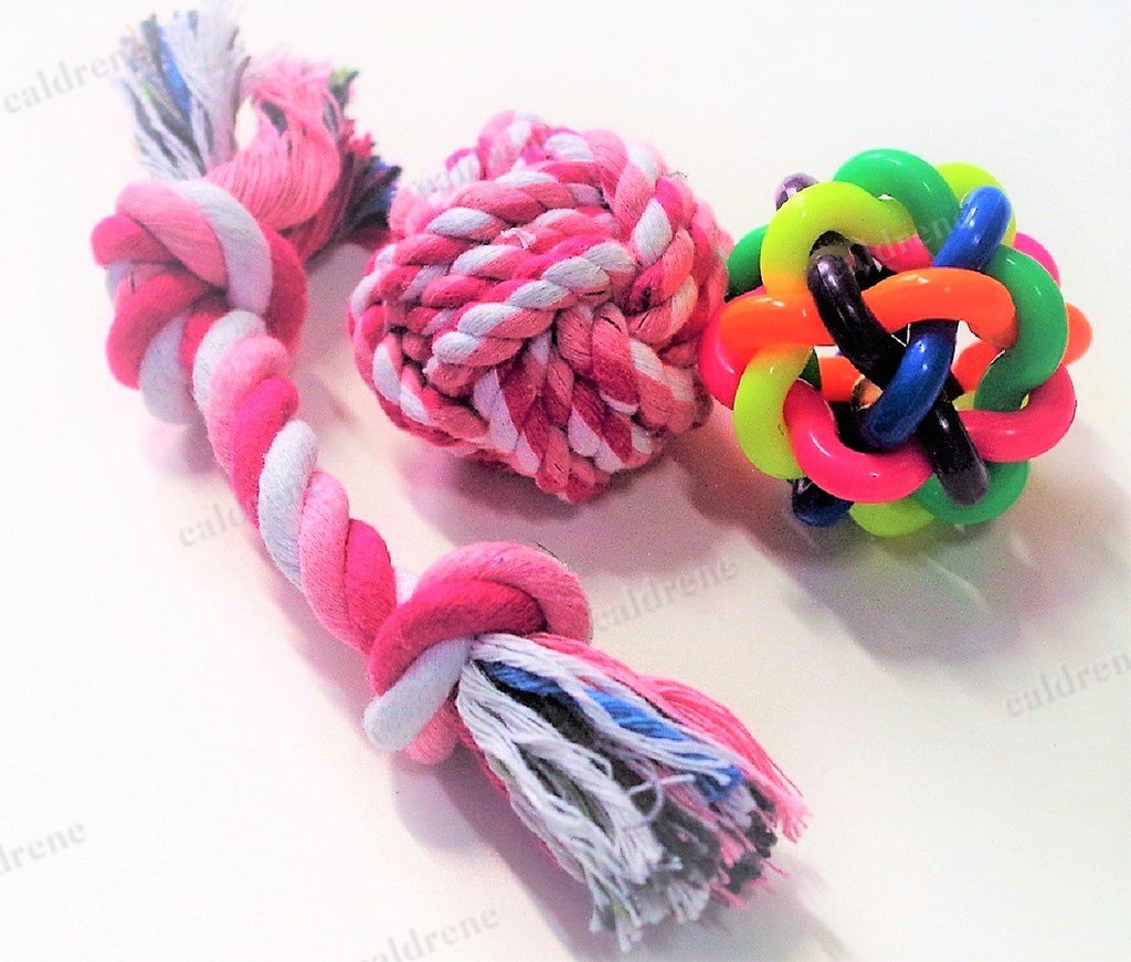 Chew and Squeaky Dog Toys, 6 Pack – view 2