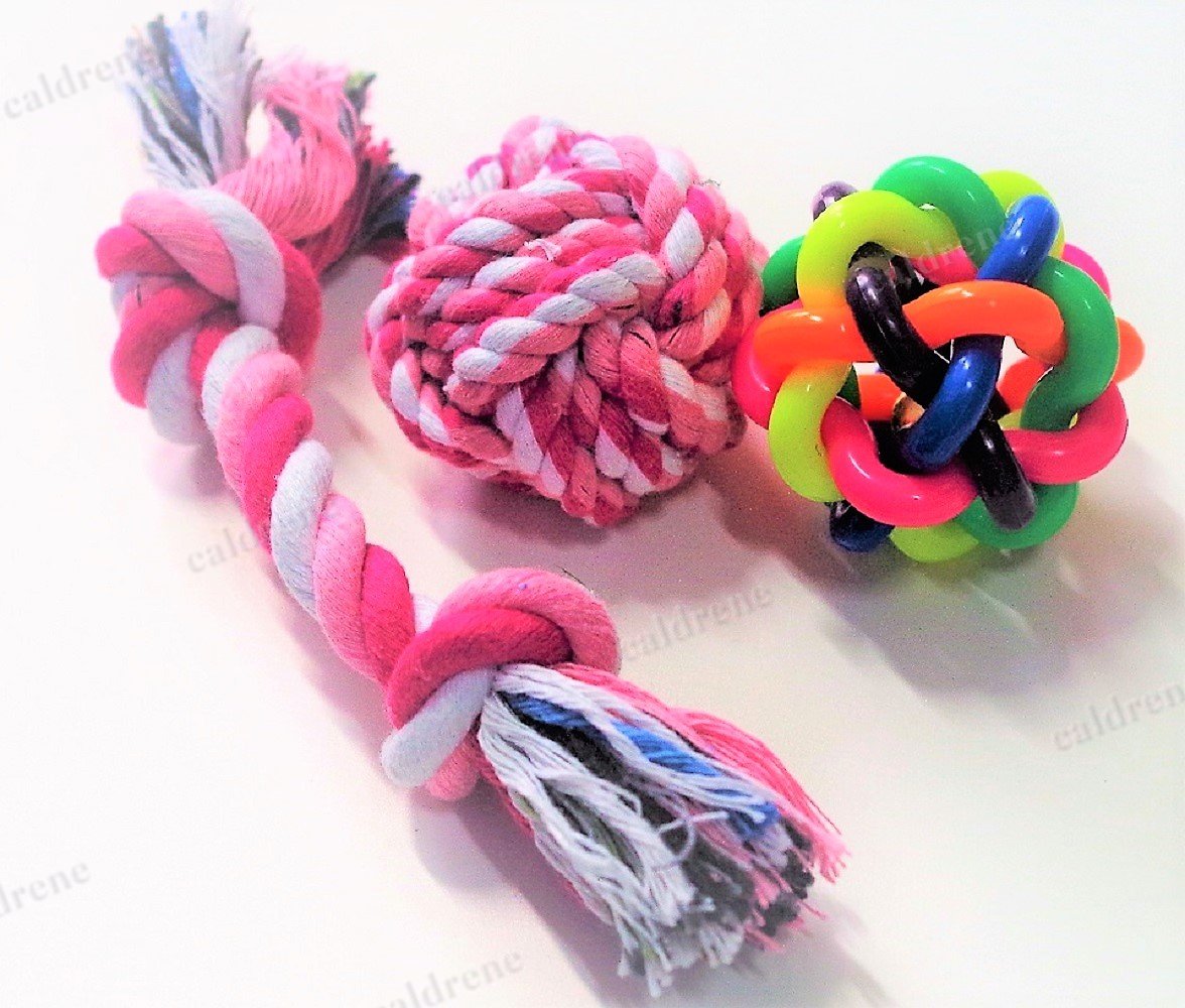 Chew and Squeaky Dog Toys, 6 Pack – view 2