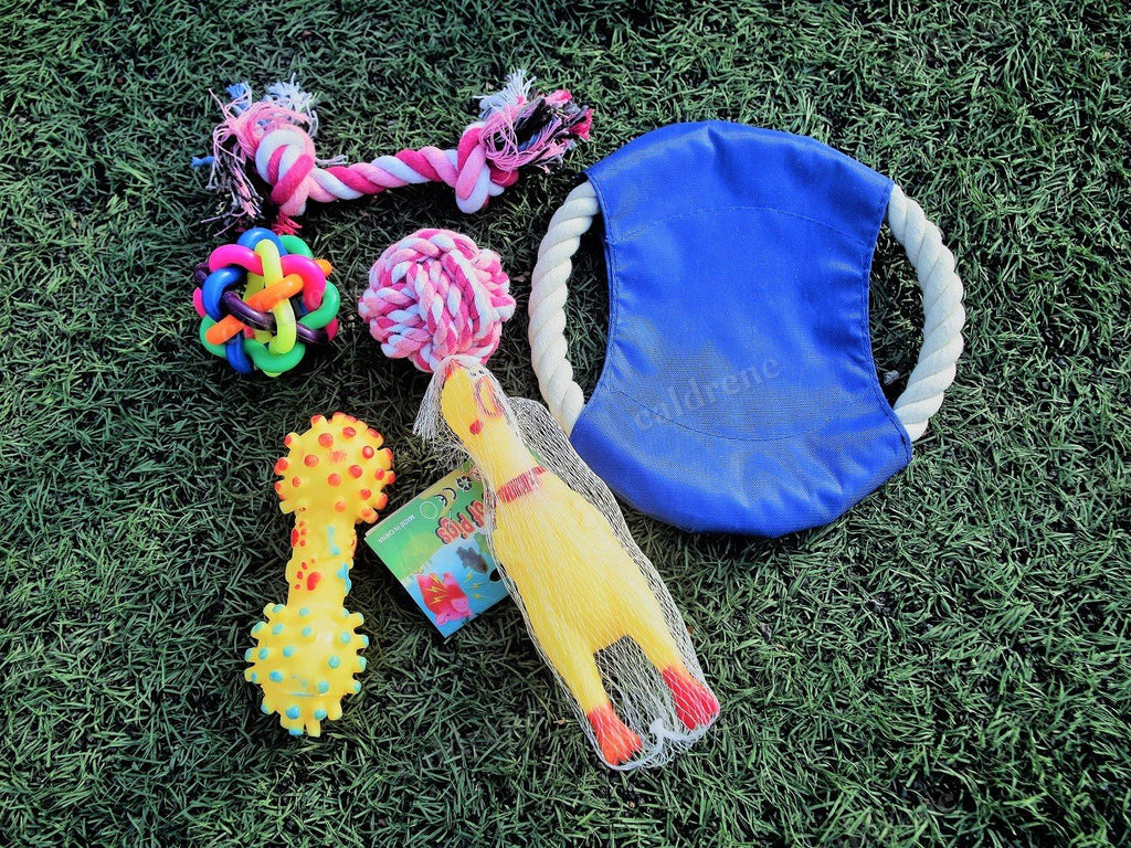 Chew and Squeaky Dog Toys, 6 Pack – view 6