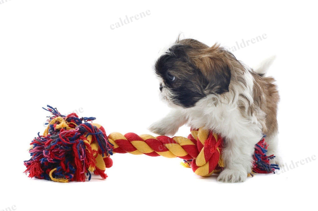 Chew and Squeaky Dog Toys, 6 Pack – view 8