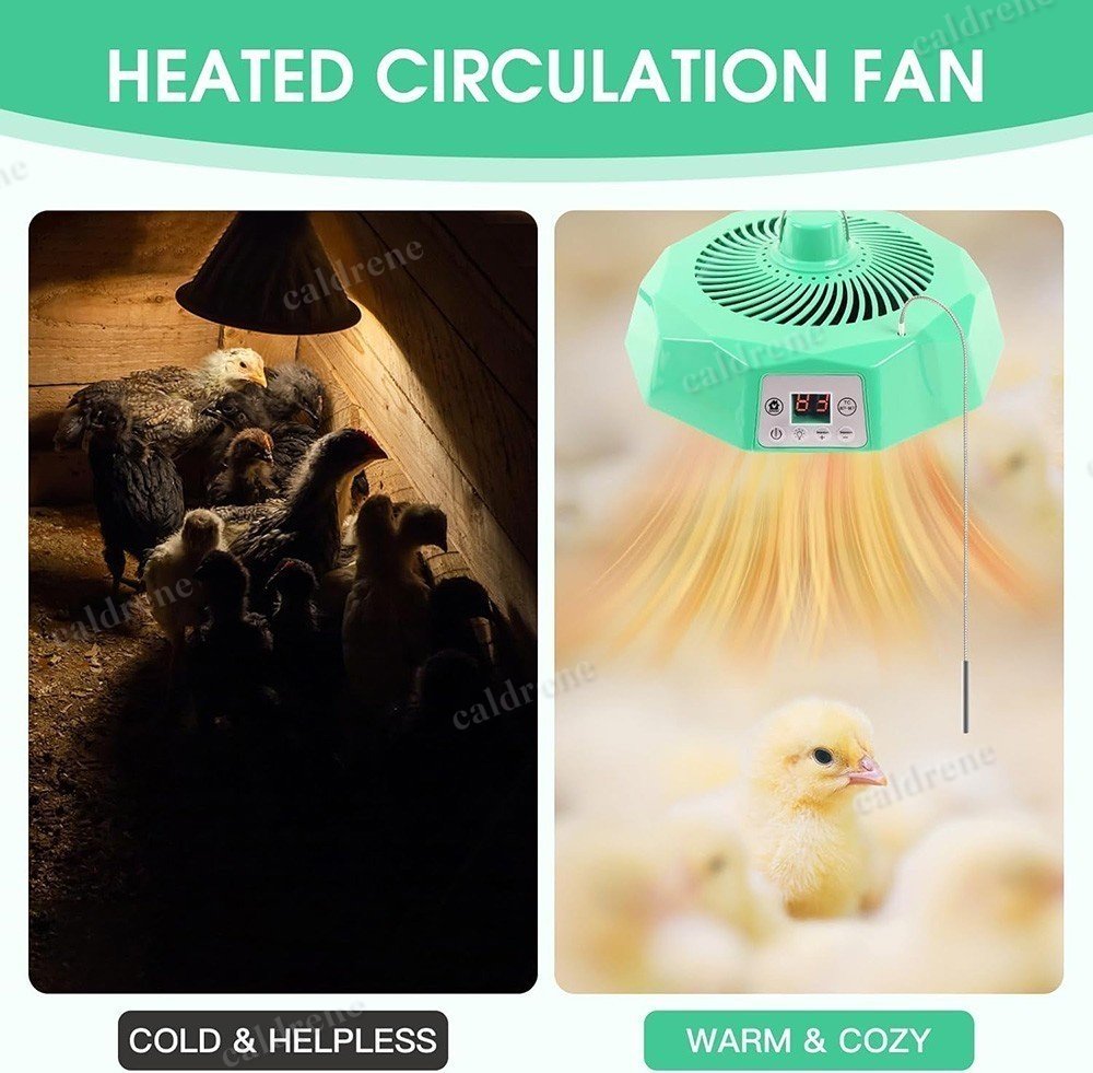 Chicken Coop Heater with Thermostat Control – view 7