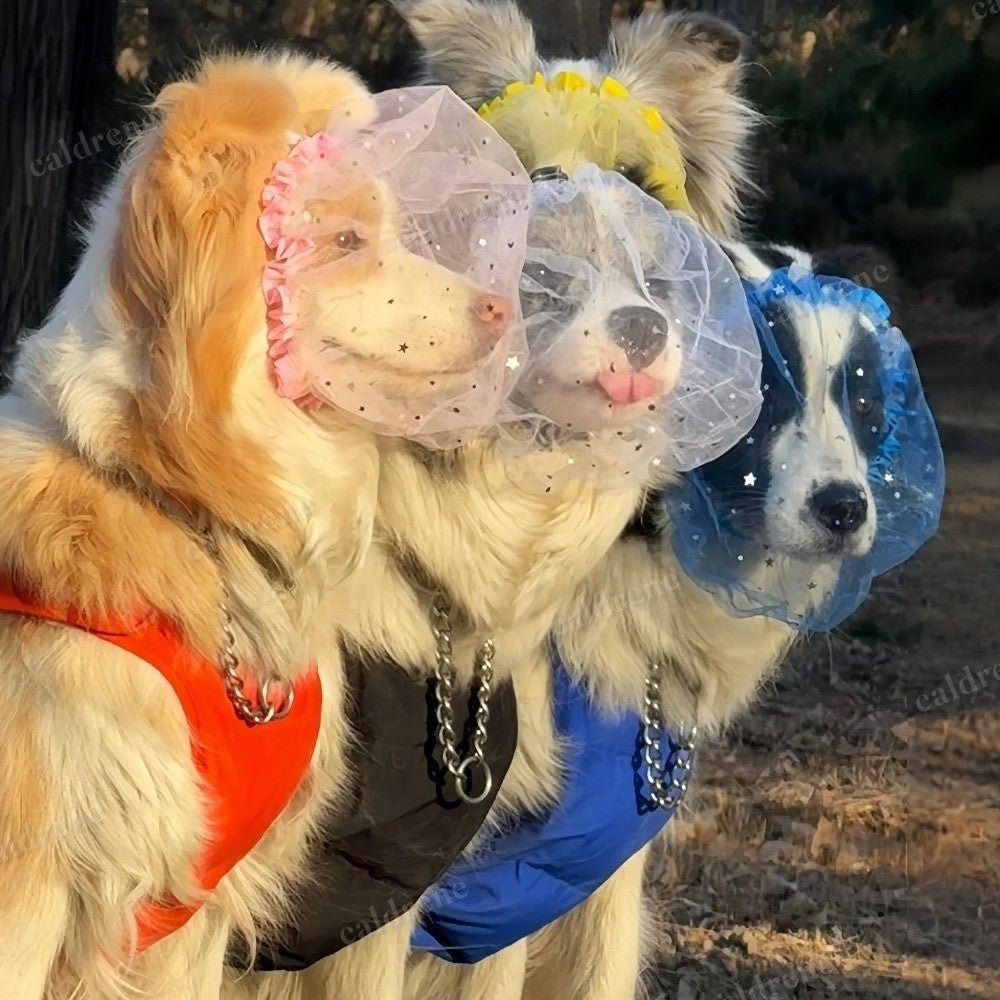 Comfort Dog Anti-Eating Veil Mouth Cover for Outdoor Feeding – view 4