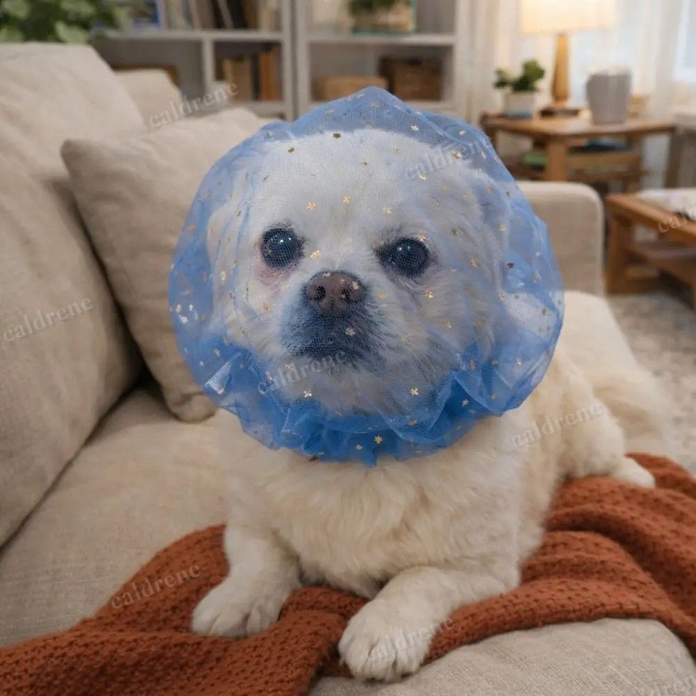 Comfort Dog Anti-Eating Veil Mouth Cover for Outdoor Feeding – view 5