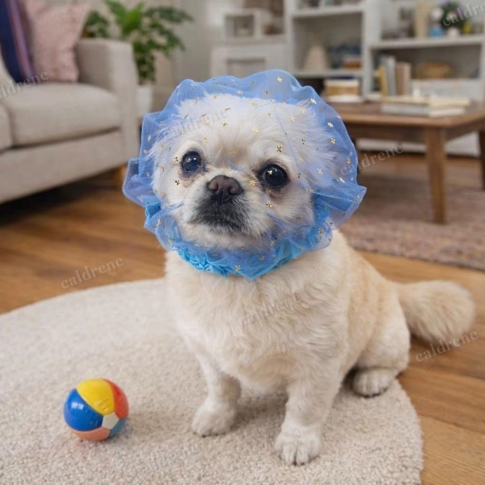 Comfort Dog Anti-Eating Veil Mouth Cover for Outdoor Feeding – view 6
