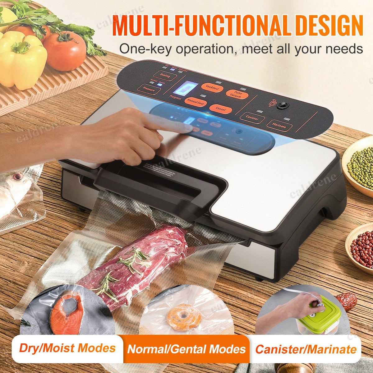 Commercial Double Pump Vacuum Sealer – view 4