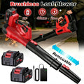 Cordless Leaf Blower 650CFM with 6 Speeds and 2 Batteries