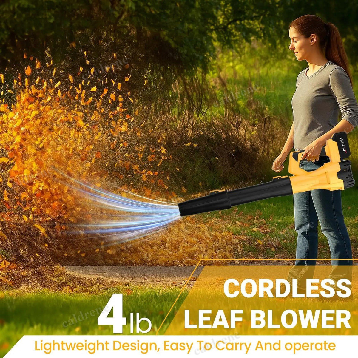 Cordless Leaf Blower with 2 Batteries – view 7