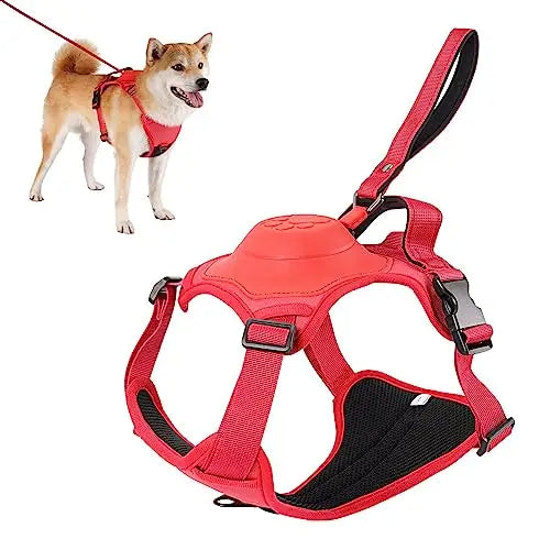 Dog Harness and Retractable Leash Kit for Comfort and Safety – M / Red