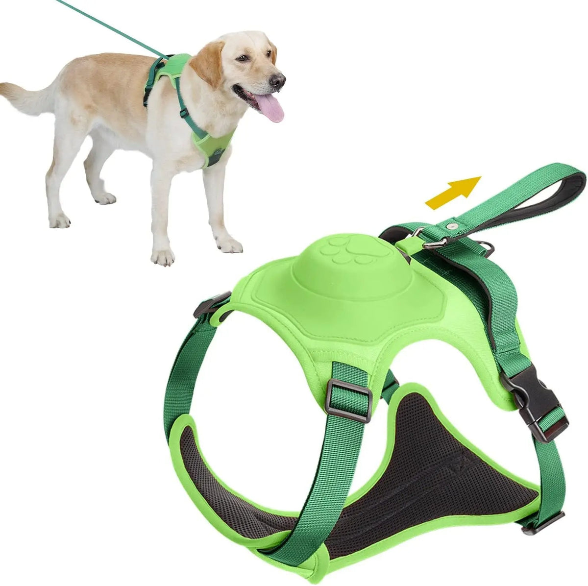 Dog Harness and Retractable Leash Kit for Comfort and Safety – M / Green