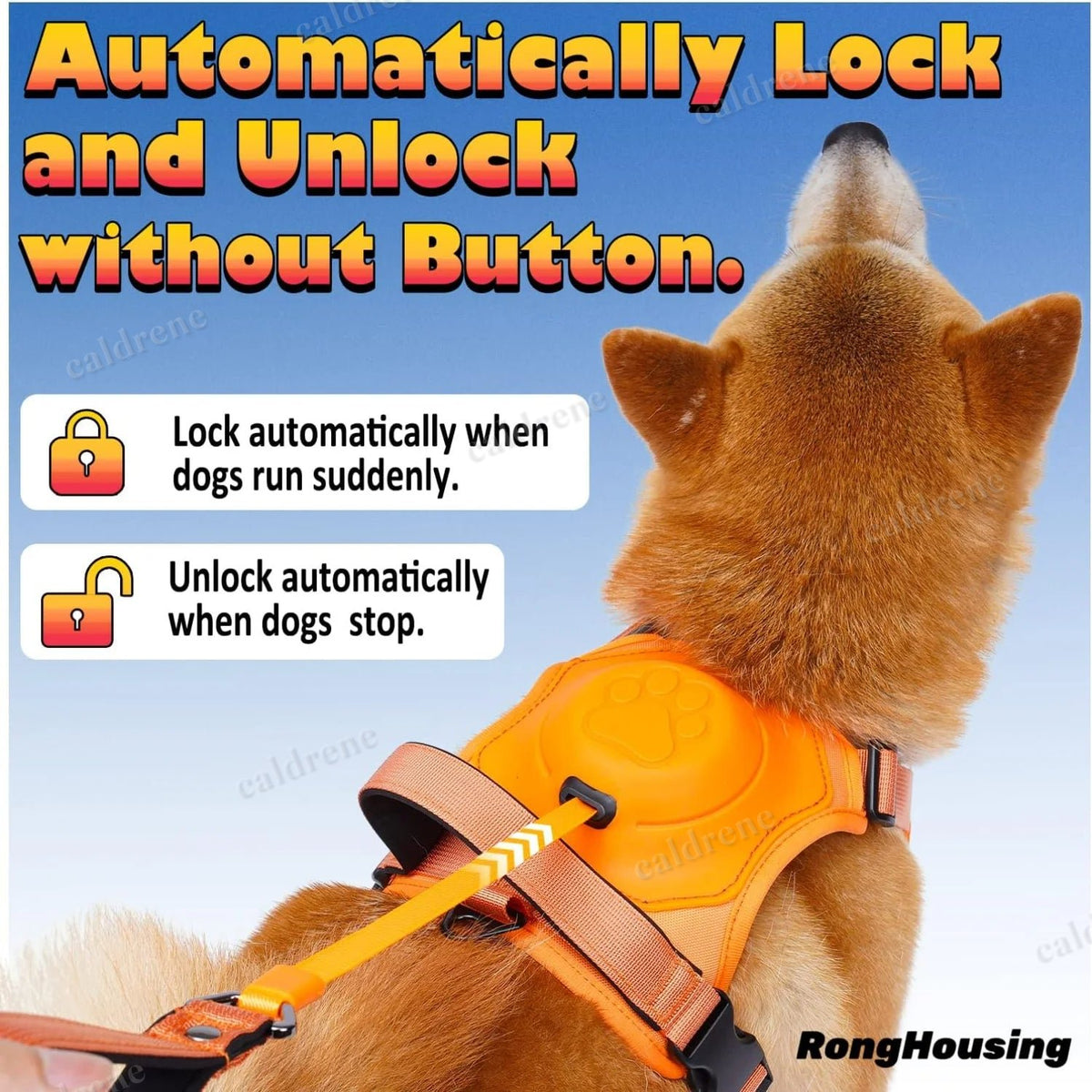 Dog Harness and Retractable Leash Kit for Comfort and Safety – view 3