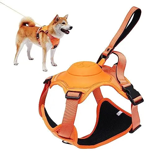Dog Harness and Retractable Leash Kit for Comfort and Safety – M / Orange