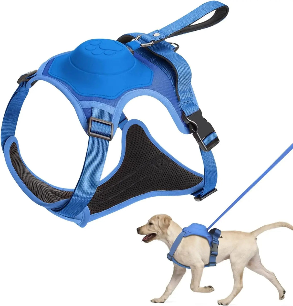 Dog Harness and Retractable Leash Kit for Comfort and Safety – M / Blue