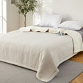 Dual Zone Heated Sherpa Blanket, Queen, 10 Heat Levels