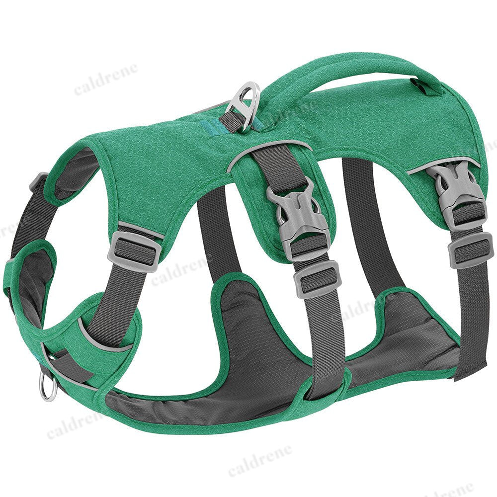 Escape Proof No Pull Dog Harness for Secure Training – view 3