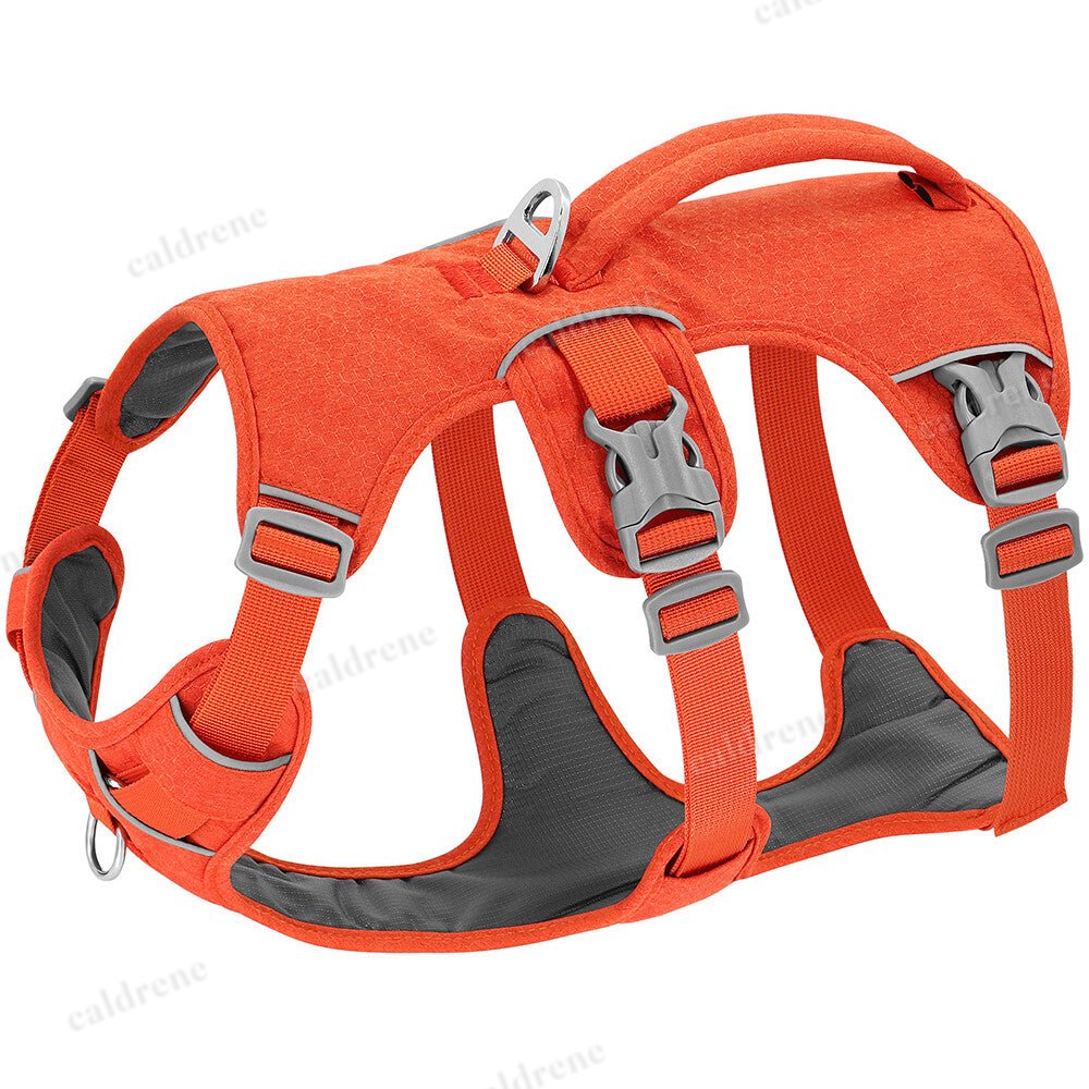 Escape Proof No Pull Dog Harness for Secure Training – view 5