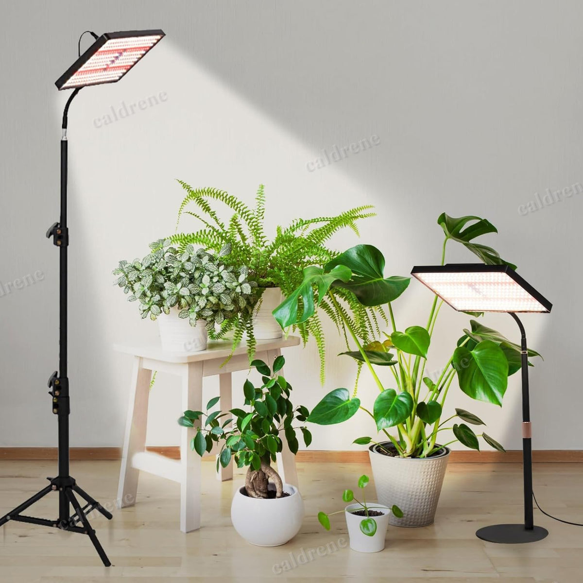 Full Spectrum LED Standing Grow Lights with Stand for Indoor Plants – view 7
