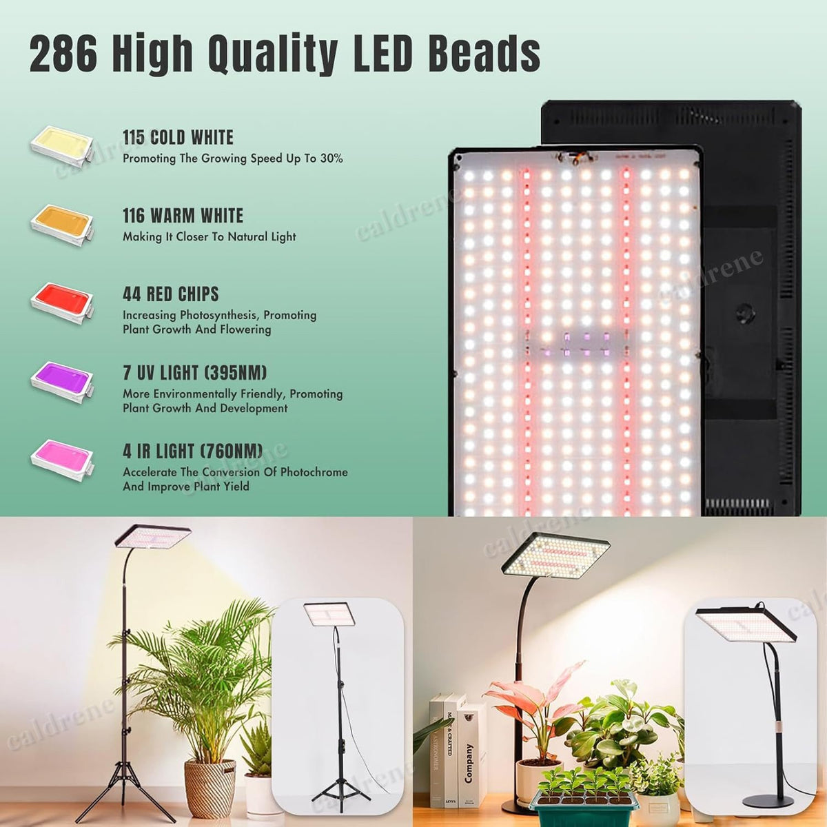 Full Spectrum LED Standing Grow Lights with Stand for Indoor Plants – view 8
