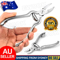 Heavy Duty Large Toe Nail Clippers for Thick Nails
