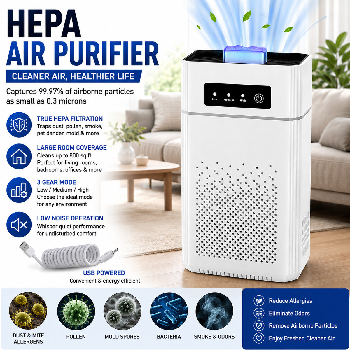 HEPA Air Purifier for Large Rooms