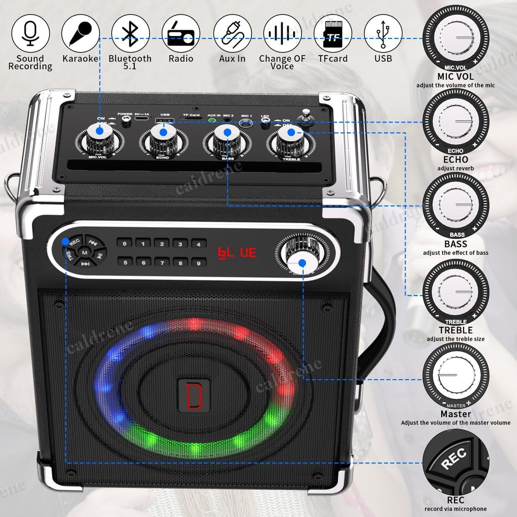 Karaoke Machine with 2 Wireless Microphones – view 2