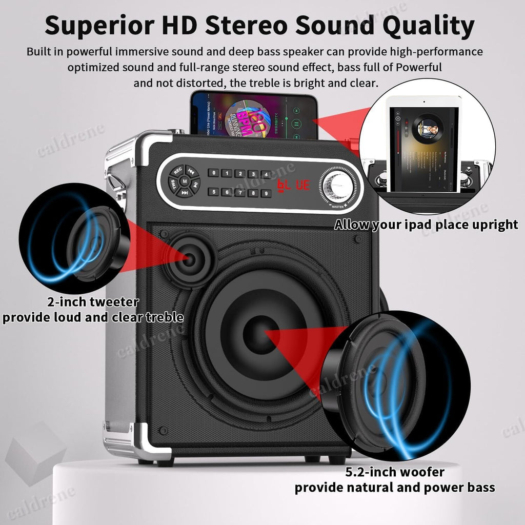 Karaoke Machine with 2 Wireless Microphones – view 5