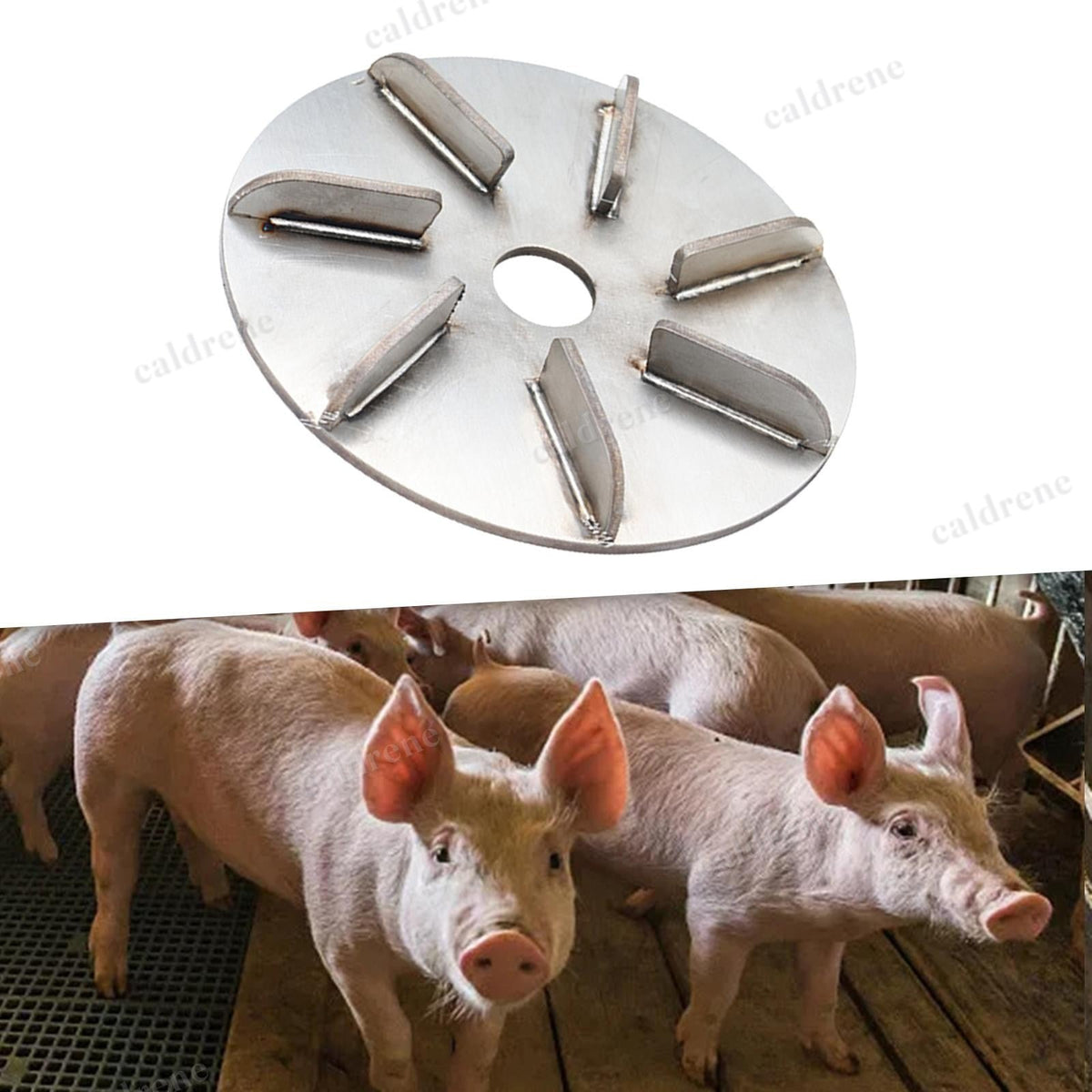 Pig Hair Removal Tool for Efficient Livestock Grooming – view 6