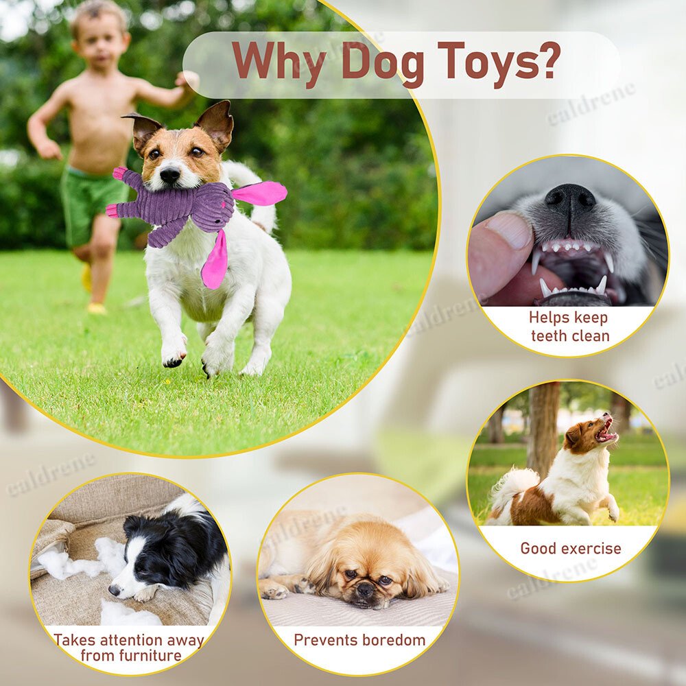 Plush Squeaky Dog Toys, 5 Pack – view 10