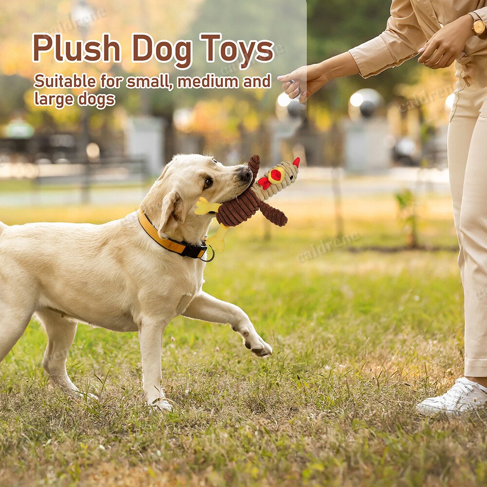 Plush Squeaky Dog Toys, 5 Pack – view 8