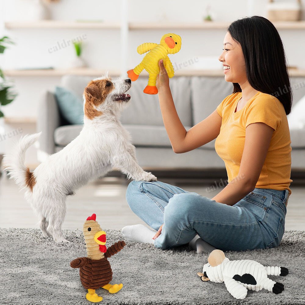 Plush Squeaky Dog Toys, 5 Pack – view 9