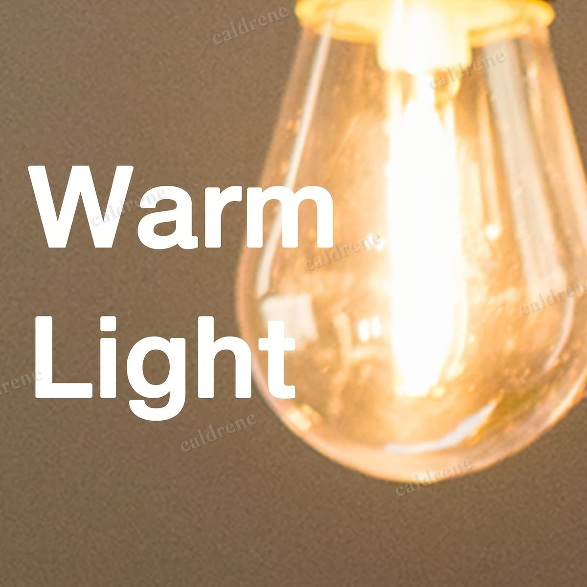 S14 LED String Light Bulbs, 24 Pack – view 10