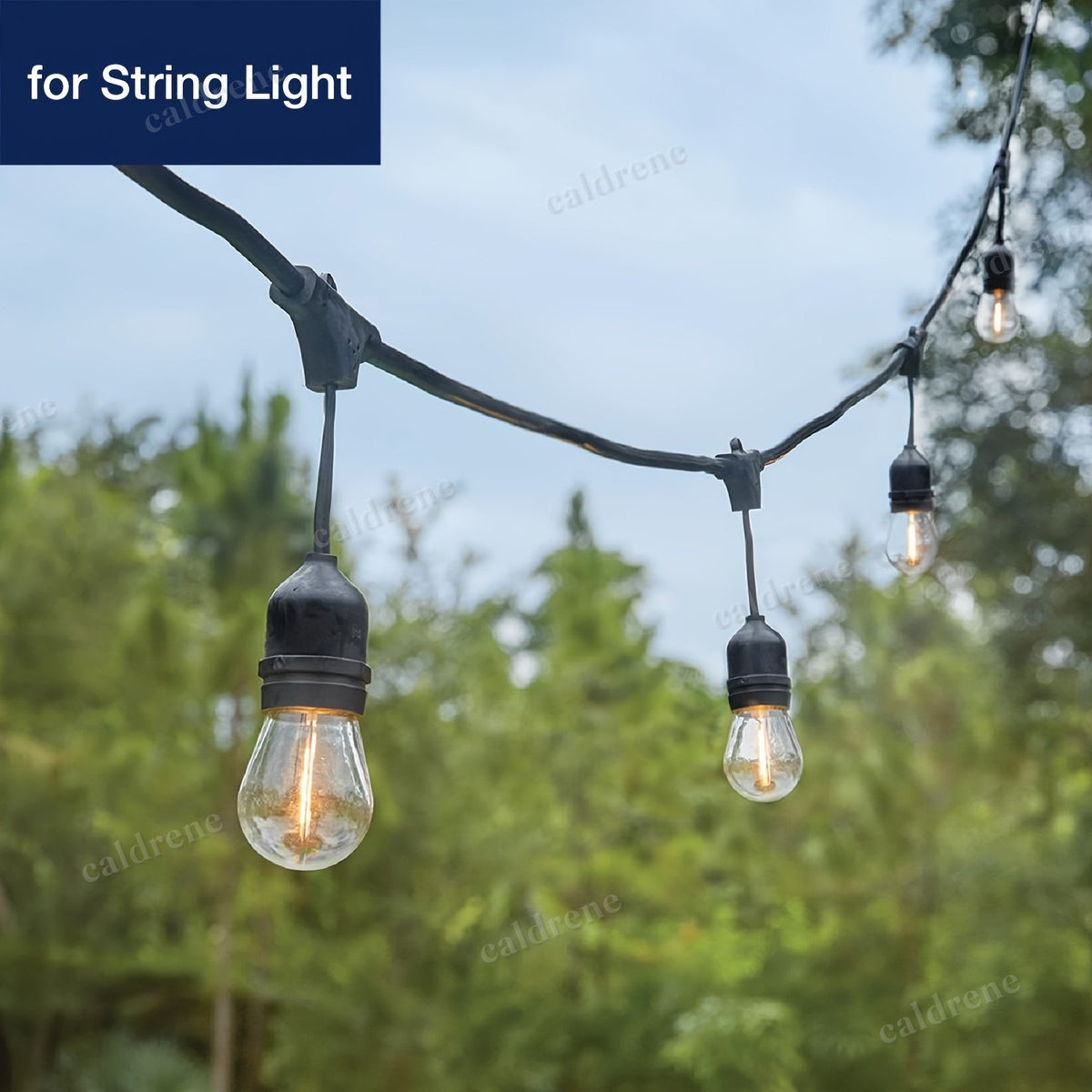 S14 LED String Light Bulbs, 24 Pack – view 5
