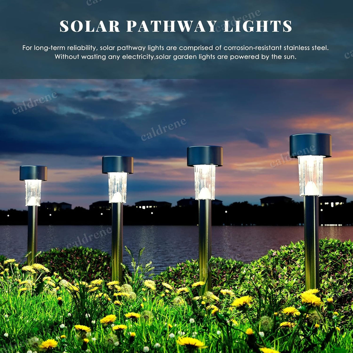 Solar Garden Pathway Lights, Waterproof, 10 Pack – view 5
