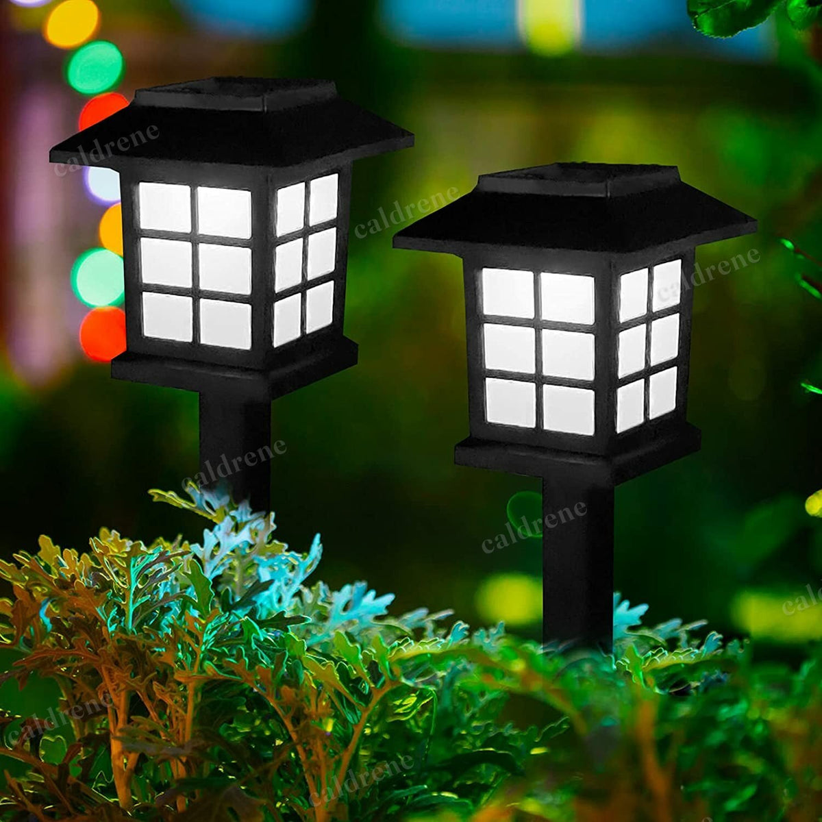 Solar Pathway Lights, 12 Pack – view 10