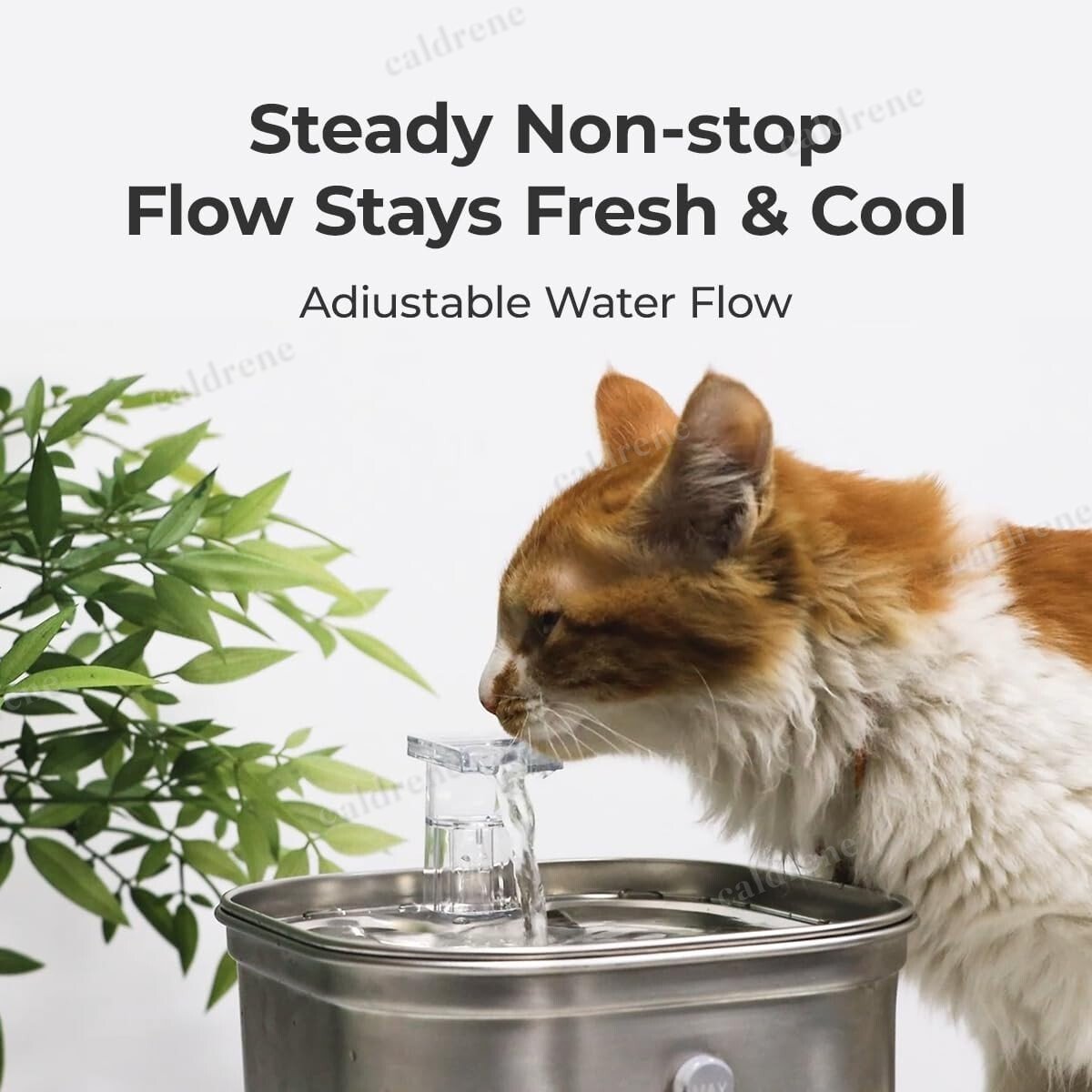 Stainless Steel Pet Water Fountain, 2.2L – view 6