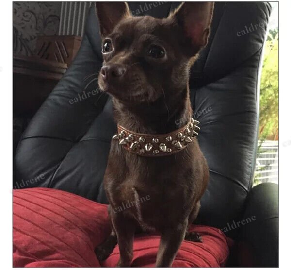 Studded Leather Dog Collar for Small to Large Breeds – view 3