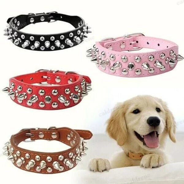 Studded Leather Dog Collar for Small to Large Breeds – view 5