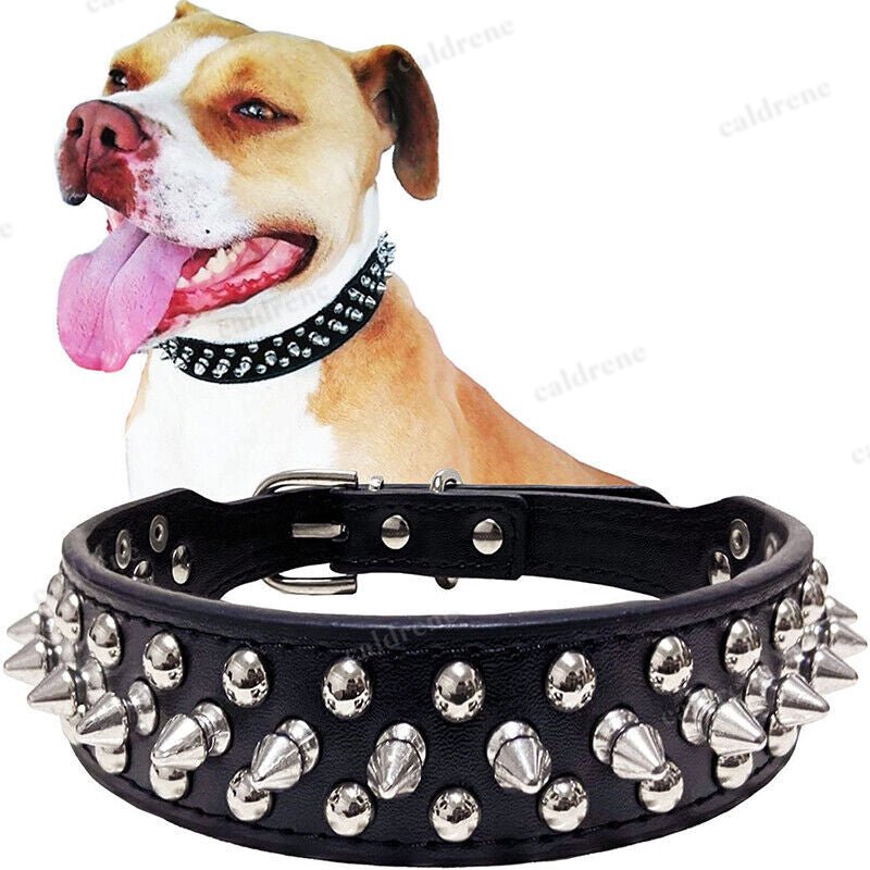 Studded Leather Dog Collar for Small to Large Breeds – view 6